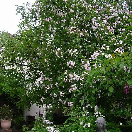 Door & Roos Отель 3*