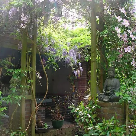 Отель Door & Roos 3*