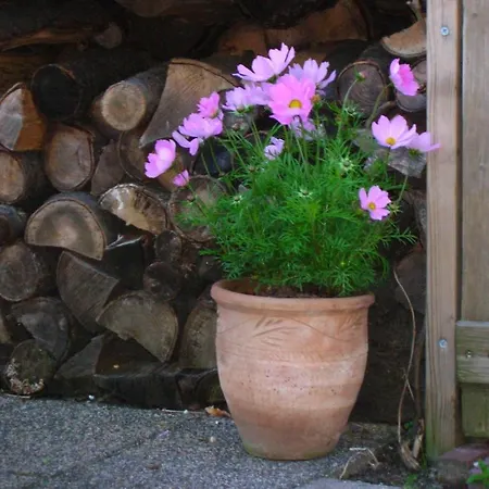 فندق Door & Roos