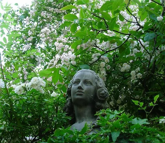 Hotel Door & Roos 3*